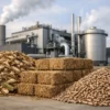 Biomass and Renewable Feedstocks