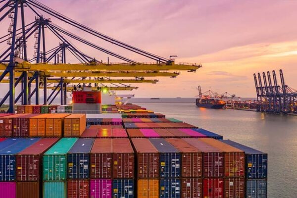 International Procurement